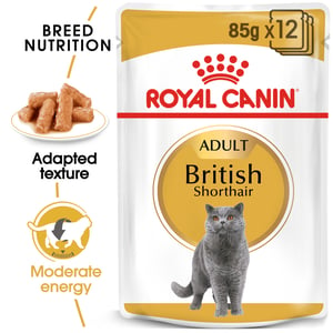 British Shorthair Narrow Chunks In Gravy product image