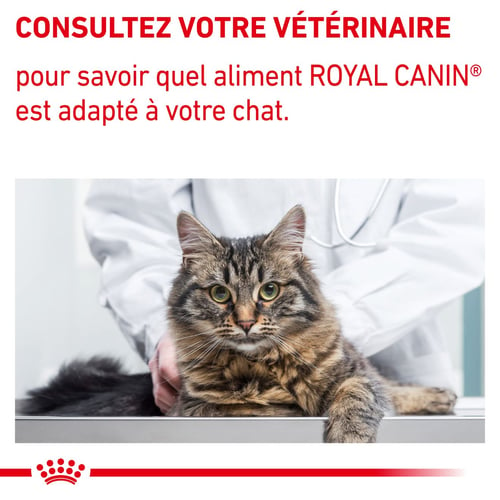 Adult - Aliment vétérinaire pour chat