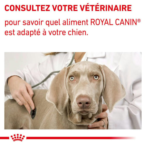 Mature Consult Mousse - Aliment vétérinaire - Sachet fraîcheur pour chien