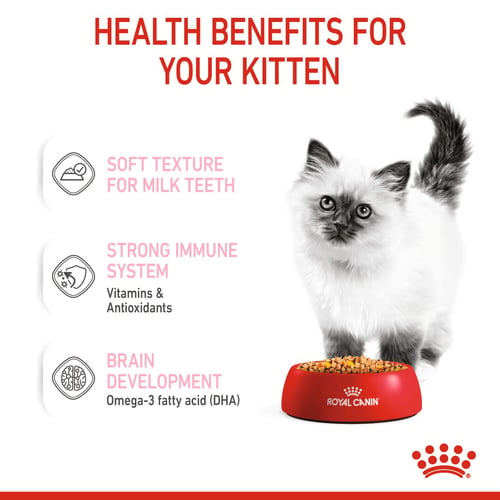 Royal Canin Kitten Jelly Våtfoder för kattunge
