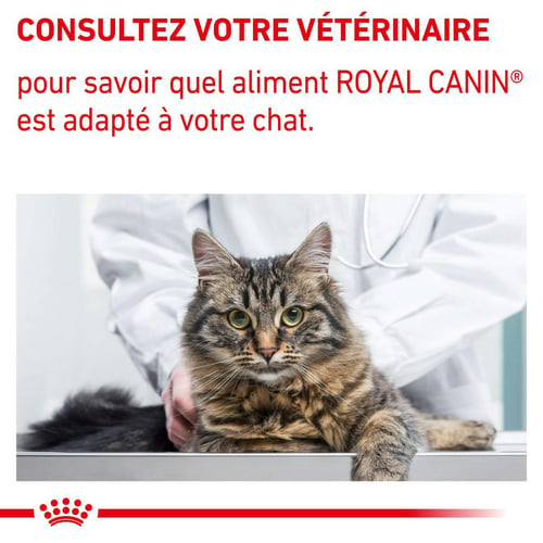 Calm - Aliment vétérinaire pour chat