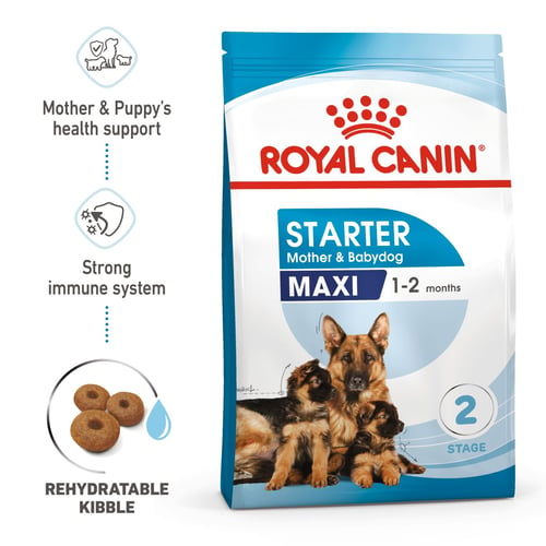 Royal Canin Maxi Starter Torrfoder för hundvalp