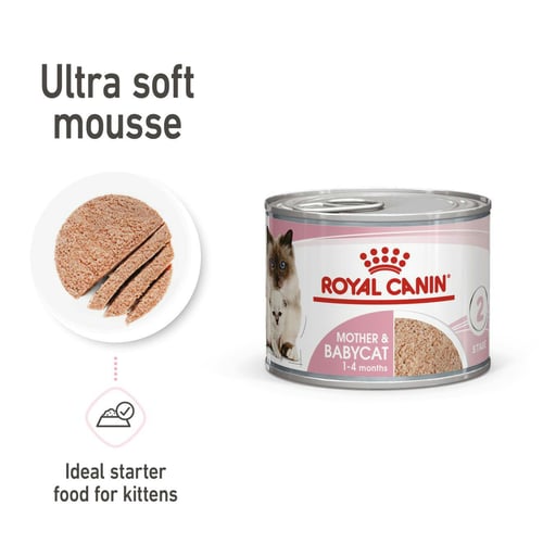 Mother & Babycat Mousse