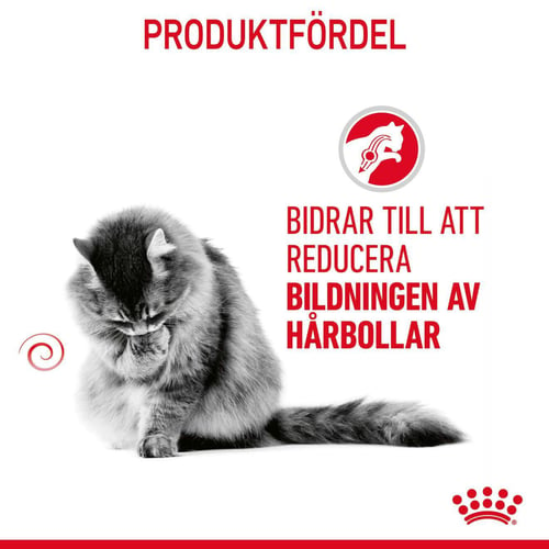 Hairball Care Adult