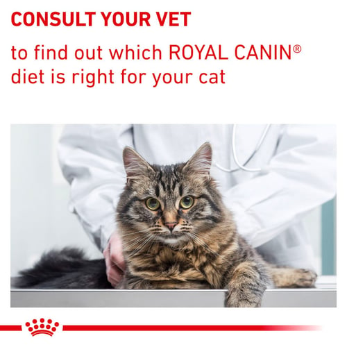 Dental - Aliment vétérinaire pour chat