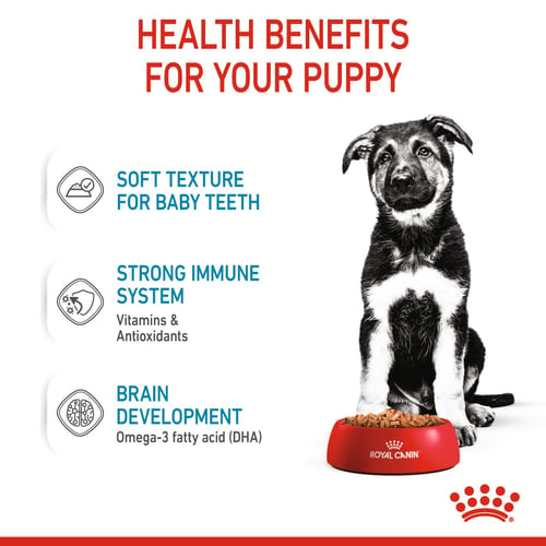 Royal Canin Maxi Puppy Våtfoder för hundvalp