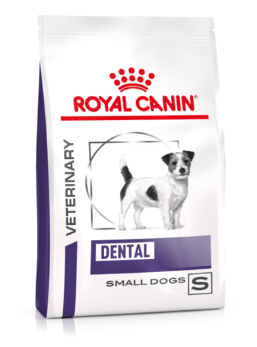 Dental (Small Dogs)