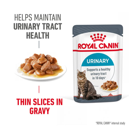 Urinary Care Chunks In Gravy