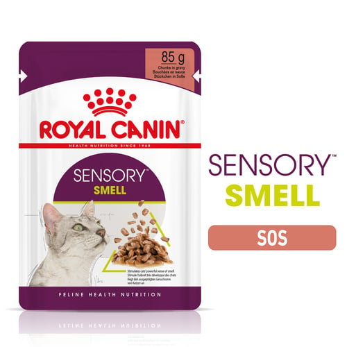 Sensory Smell Gravy