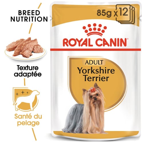 Yorkshire Terrier mousse