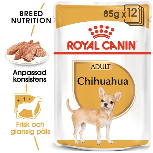 Chihuahua Adult Loaf