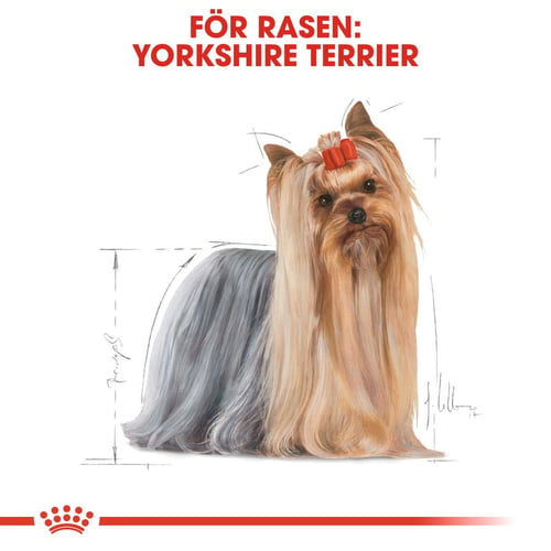 Yorkshire Terrier Adult Loaf