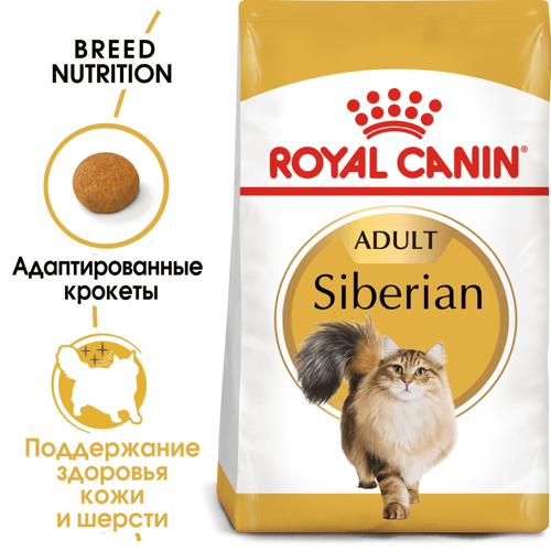 Siberian Adult