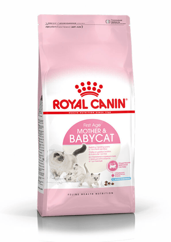 mother babycat royal canin