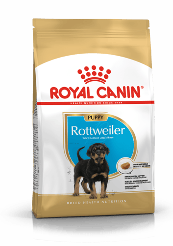 Rottweiler puppy (Ротвейлер паппи)