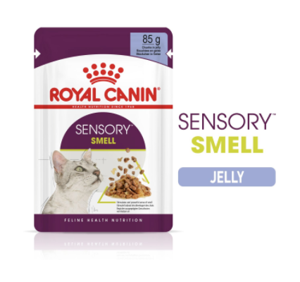 Sensory Smell (in jelly)