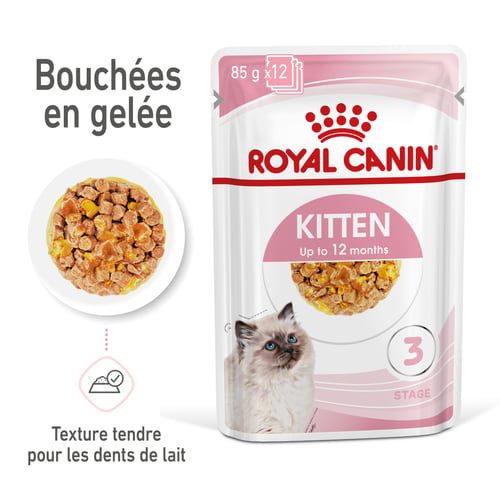 Kitten Gelée - Sachet fraîcheur pour chaton  