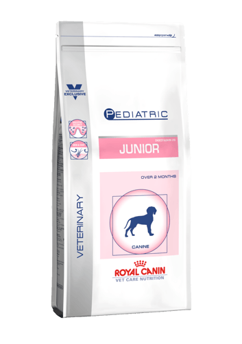 Pediatric Junior Dog