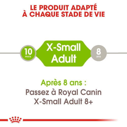 X-Small Adult