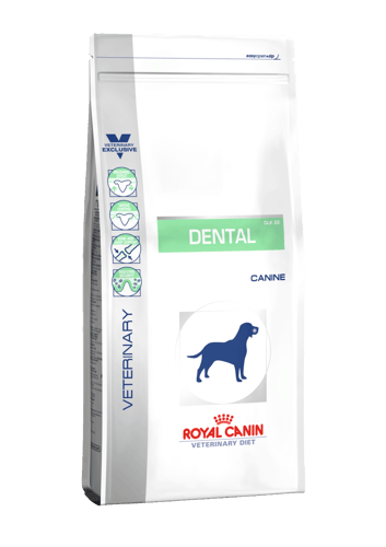 Dental Dog Dry