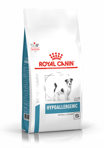 Hypoallergenic   Small Dogs