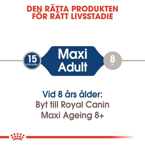 Maxi Adult
