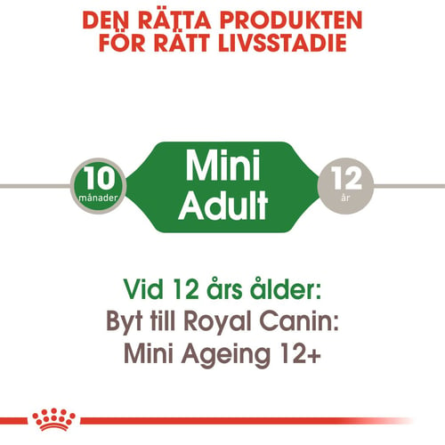 Mini Adult
