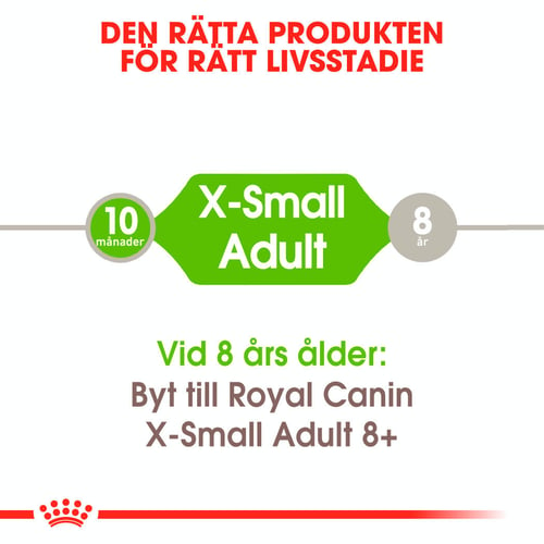 X-Small Adult