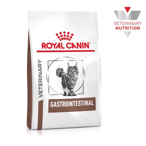 Cat Gastrointestinal
