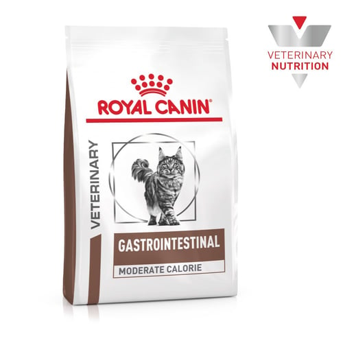 Cat Gastrointestinal Moderate Calorie