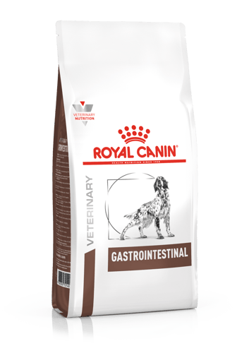 Dog Gastrointestinal