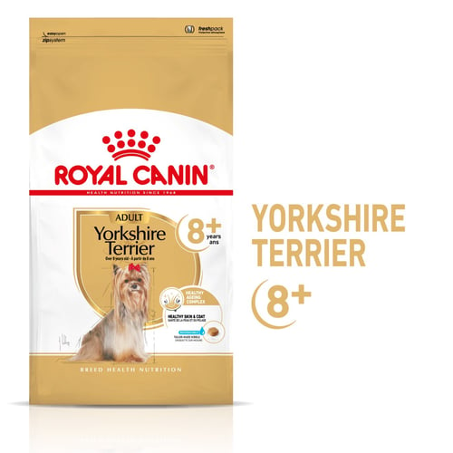 Yorkshire Terrier 8+