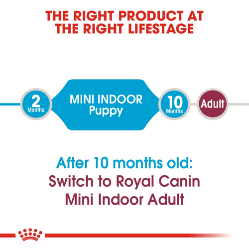 Mini Indoor Puppy
