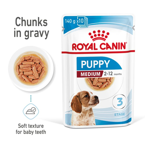 PUPPY - MEDIUM - Chunks in gravy