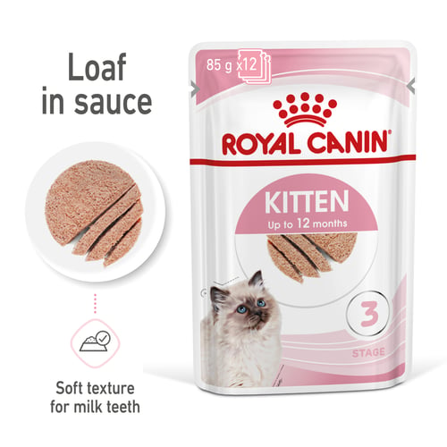 Kitten Loaf In Sauce