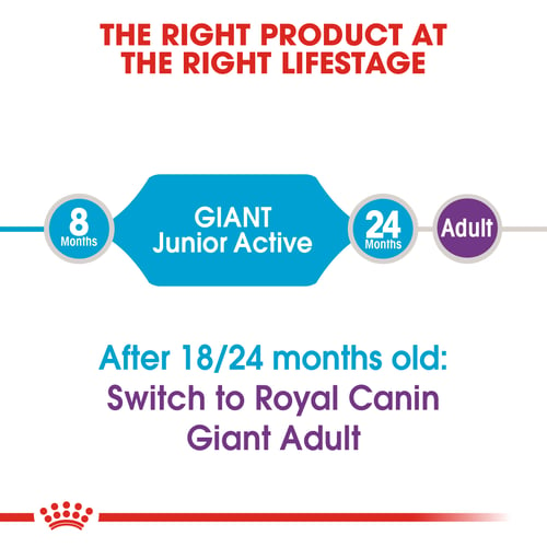 Giant Junior Active