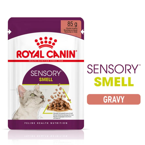 Sensory Smell (in gravy)