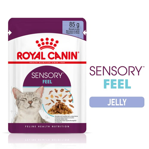 SENSORY™ FEEL Morsels in jelly
