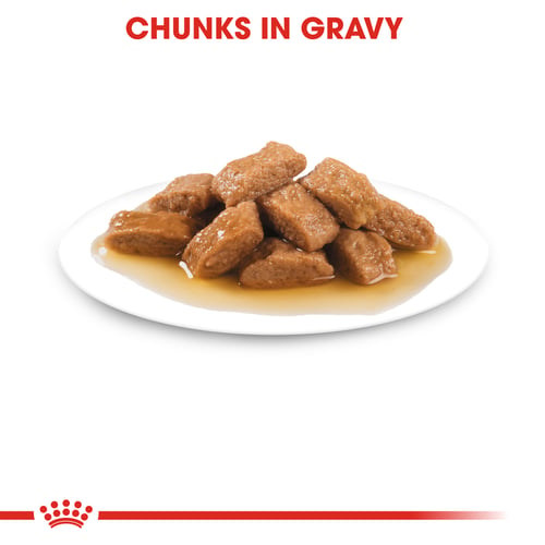 Medium Adult Chunks In Gravy