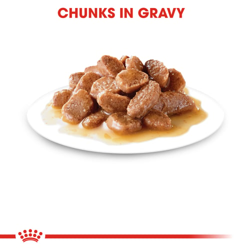 Digest Sensitive Chunks In Gravy
